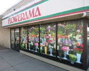 Flowerama Windows