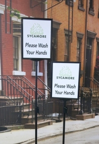 Sycamore Wash Hands