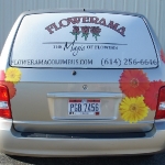 Window Mesh and Tail Graphics
