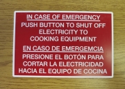 In Case of Emergency