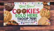 Girl Scout Banner