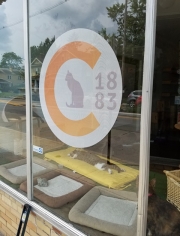 Columbus Cat Cafe