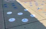 Sidewalk Sport Decals